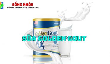 Sữa golden gout